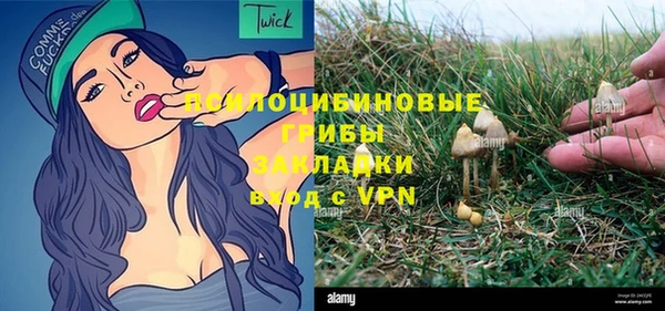прущий лед Богданович