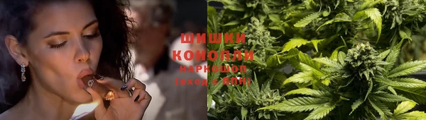 трава Белокуриха