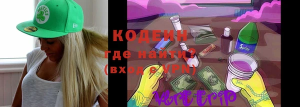 трава Белокуриха