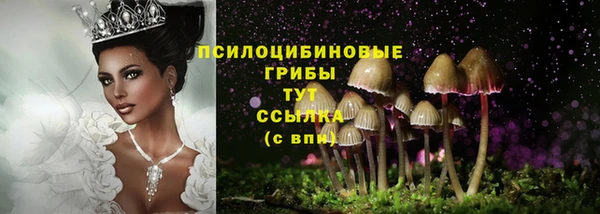 прущий лед Богданович