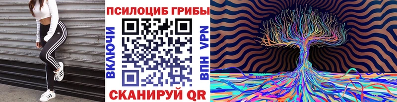 Галлюциногенные грибы Psilocybine cubensis  МЕГА ONION  Бронницы 